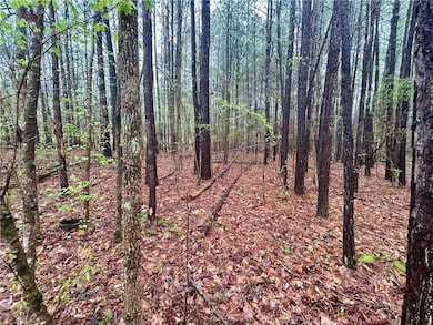 0 Walker Mountain Rd SW unit 7551047, Rome, GA 30161 - photo 3