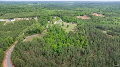 15305 Watermelon Rd, Tuscaloosa, AL 35406 - photo 6