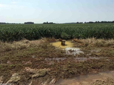 0 Tilley Ln unit 19029482, Waldenburg, AR 72475 - photo 6