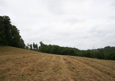 SKYLINE VIEWS AND WILDLIFE