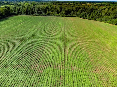 04 Adams Rd, Ashford, AL 36312 - photo 3