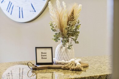 6-web-or-mls-DSC08400