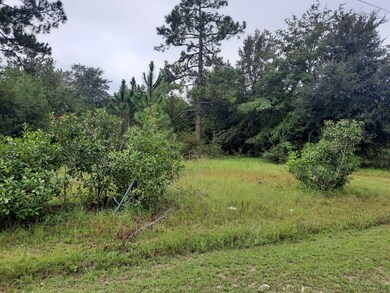 130 Honeysuckle Ln, Fitzgerald, GA 31750 - photo 5