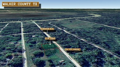 Plantation Blvd, Trinity, TX 75862 - photo 6