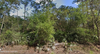 0 Quail Ranch Rd unit 1045380, New Smyrna Beach, FL 32168 - photo 4