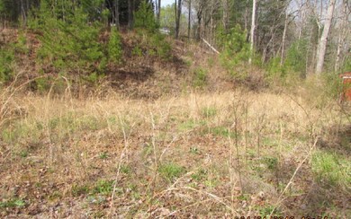 Additional View