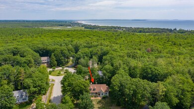 27 Vines Saco Aerial-7