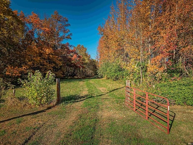 8381 Kentucky 351, Henderson, KY 42420 - photo 5