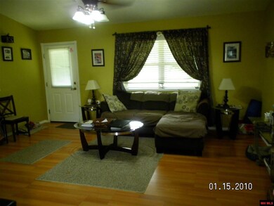 805 Winchester St, Flippin, AR 72634 - photo 7