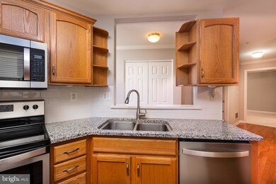 6502 Ridenour Way E unit 3A, Sykesville, MD 21784 - photo 2