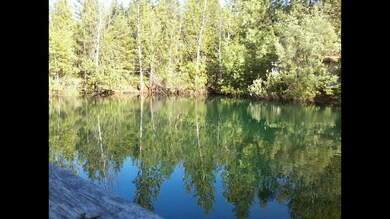 Pond New (2)