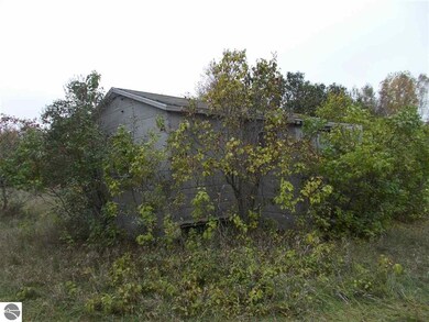 6695 Whittemore Rd, Whittemore, MI 48770 - photo 4