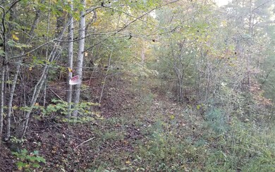 Additional View