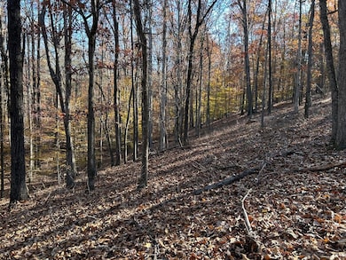 0 Dove Hill Rd unit 25439972, Royston, GA 30662 - photo 2