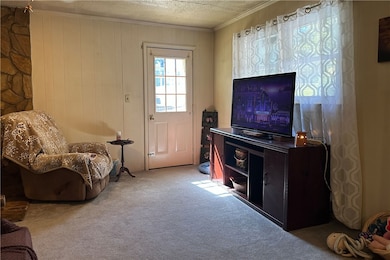 202 Tramrod Trail, Travelers Rest, SC 29690 - photo 4