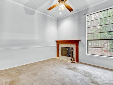 10645 Parrigin Rd, Helotes, TX 78023 - photo 4