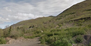 Lot View