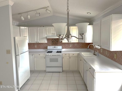 Picture16