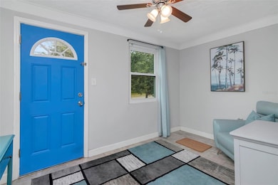 1230 32nd St N, Saint Petersburg, FL 33713 - photo 4