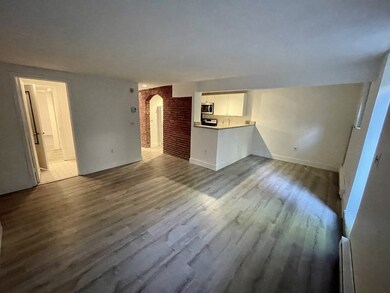 24 Worcester Square unit 1, Boston, MA 02118 - photo 6