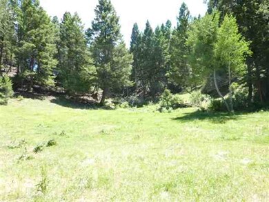 Perkins Creek Ranch, Anaconda, MT 59711 - photo 6