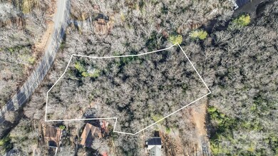 9999 Yates Ave unit PT A, Black Mountain, NC 28711 - photo 4