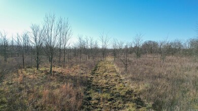 TBD Little River 32, Ashdown, AR 71822 - photo 4