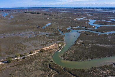 marsh behind the neighborhood