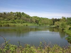 IMG_20150513_133708