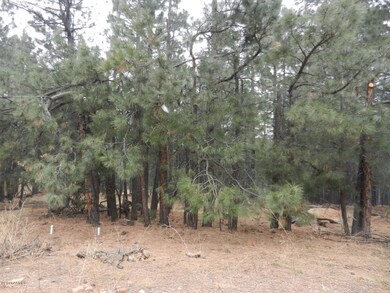 Tall Ponderosa Pines on this lot