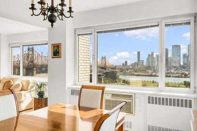 Cannon Point South Apartments unit 17F, New York, NY 10022 - photo 7