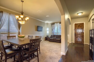 25610 Wentink Ave, San Antonio, TX 78261 - photo 7