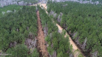 0 Mount Gilead Rd, McCall Creek, MS 39647 - photo 6