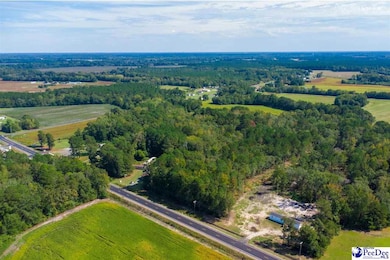 TBD Lamar Hwy, Darlington, SC 29532 - photo 5