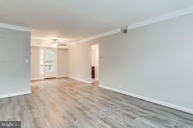 2930 S Buchanan St unit B2, Arlington, VA 22206 - photo 6