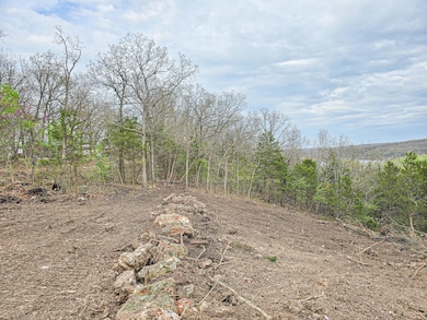 Tract 2 Easy St, Green Township, MO - photo 3