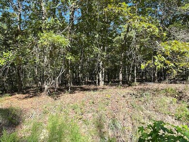 0 A Acorn Ln, Santee, SC 29142 - photo 5