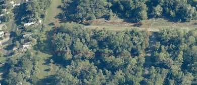 9999 N Snowball Point, Crystal River, FL 34428 - photo 2