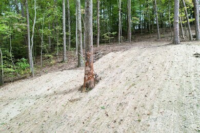 5-web-or-mls-DJI_0640