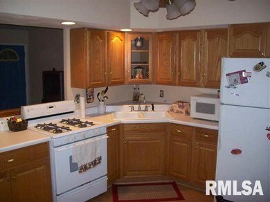 127 Carter Ln, Lincoln, IL 62656 - photo 4