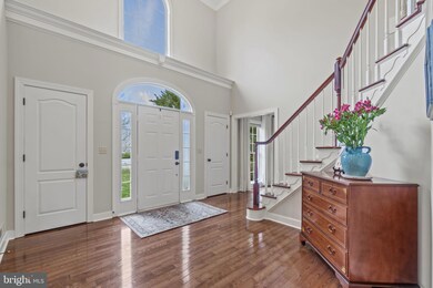 65 Kirby Ln, Stafford, VA 22554 - photo 6