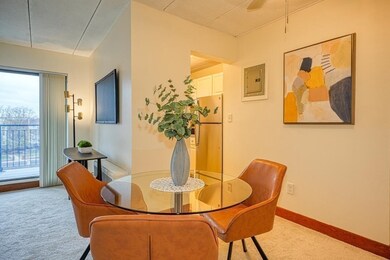 995 Massachusetts Ave unit 401, Arlington, MA 02476 - photo 5
