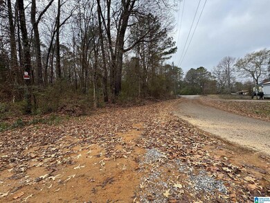 0 Winslow Ave unit 21438336, Anniston, AL 36206 - photo 3