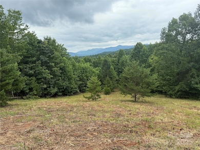 166 Coal Pit Mountain Dr unit 359, Nebo, NC 28761 - photo 6