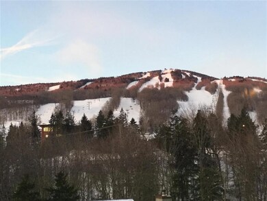 17 Snow Tree Ln unit I- Ledges, Dover, VT 05356 - photo 2