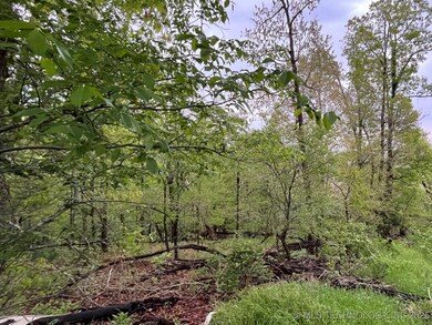 1229 Pheasant Run Rd, Kansas, OK 74347 - photo 4