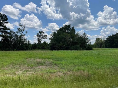 View of local wilderness