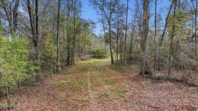 0 Highland Dr unit 4132510, Florence, MS 39073 - photo 4