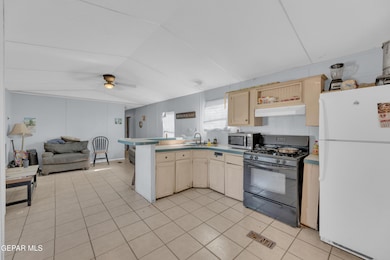 3320 Desert Blossom Dr, El Paso, TX 79938 - photo 7