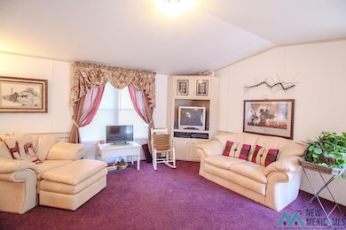 204 Hemlock Cir, Ruidoso, NM 88345 - photo 6